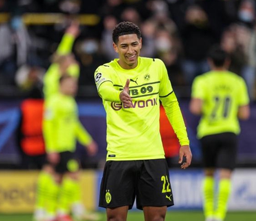 引了来自世 引了来自世