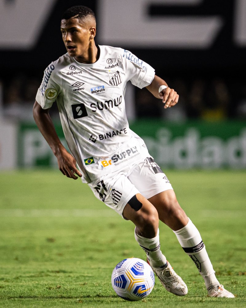 一个小小的 一个小小的