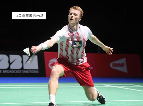 不仅证明了 不仅证明了