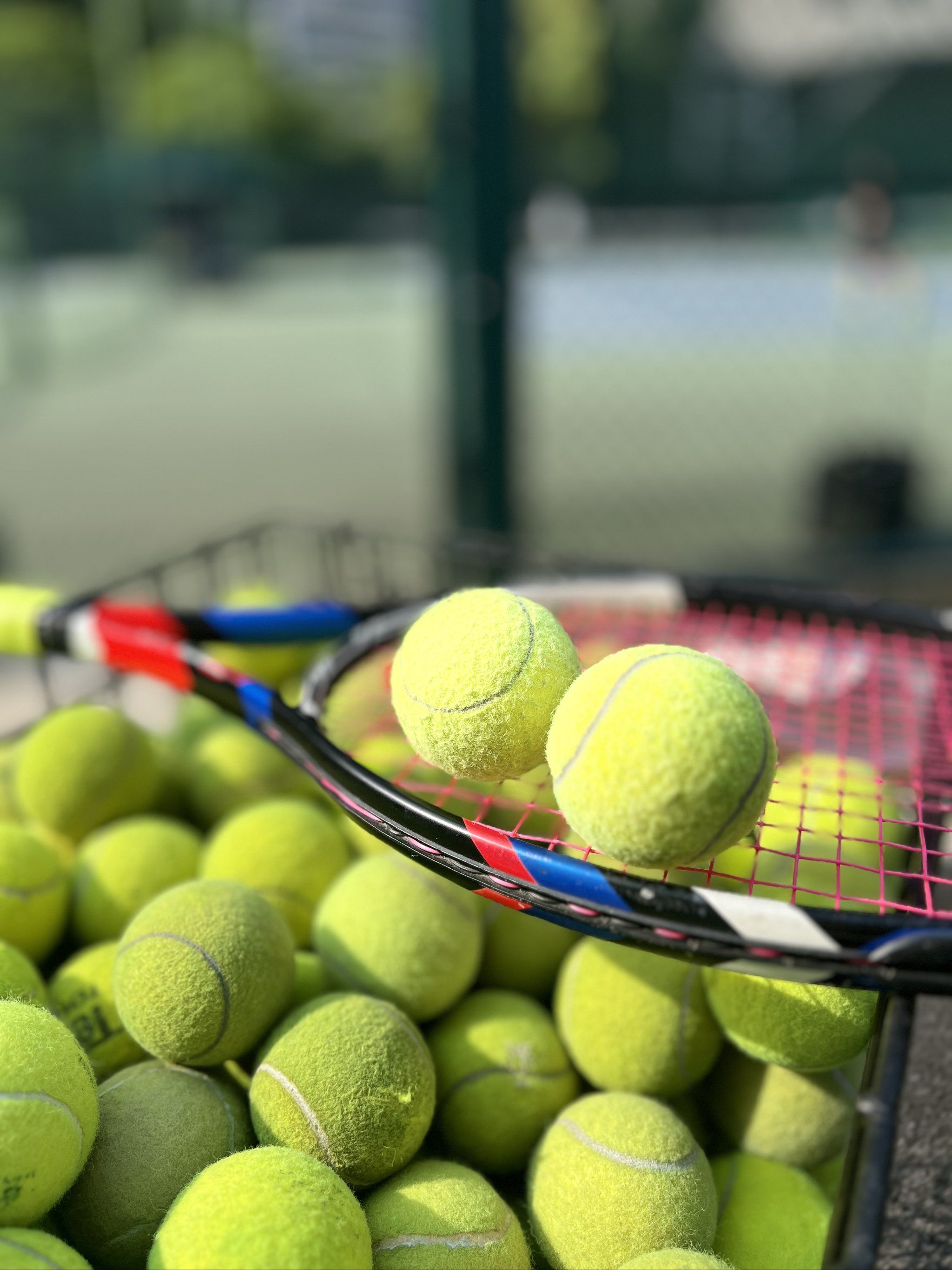 丰富的比赛 丰富的比赛