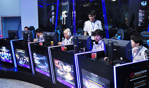 关键小鸟 关键小鸟