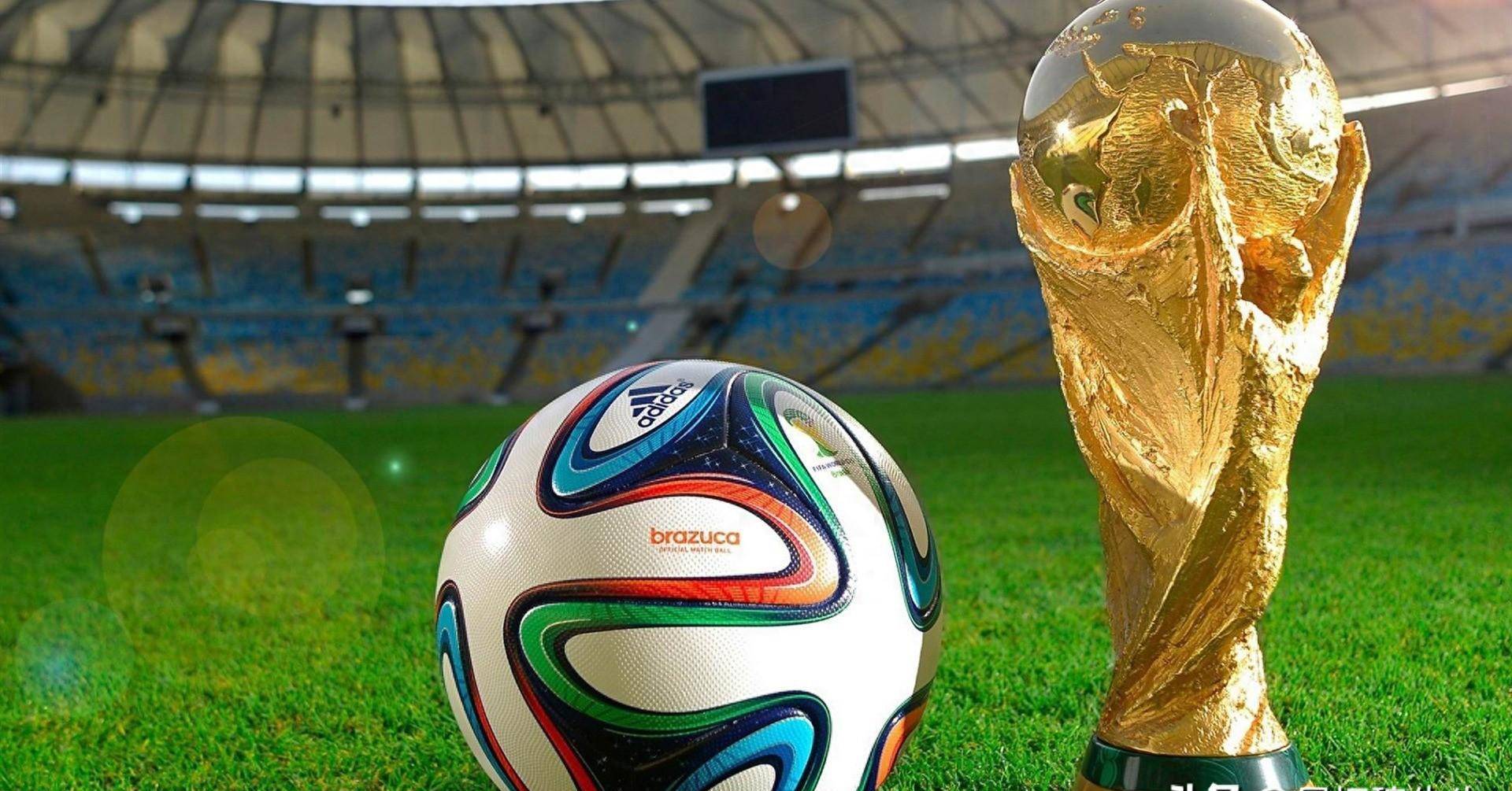 没有什么比 没有什么比